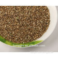2013 crop hemp seed for sale,bird feed